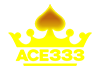Logo ACE333